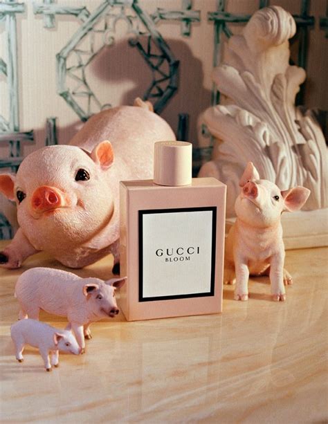 gucci pig collection|gucci chinese new year collection.